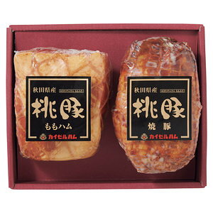 ΕJC[nHcY؃nAē؋liAM-40j 