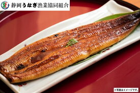 父の日 ギフト プレゼント G200 静岡県産 うなぎ蒲焼　2枚