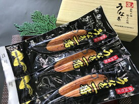 父の日 ギフト プレゼント G201 静岡県産 うなぎ蒲焼　3枚