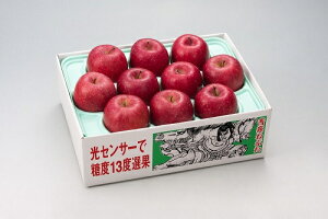 2025N ~Mtg Ε B008@XY@Tӂ@@i11{菇j