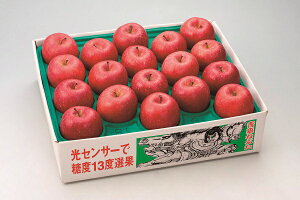 2025N ~Mtg Ε B009@XY@Tӂ@i11{菇j