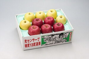 2025N ~Mtg Ε B010@XY@TӂEс@i11{菇j