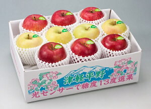 2025N ~Mtg Ε B017@XY@VimXC[gEETӂ̊Ön񂲋l@i11{菇j