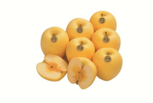 2025N ~Mtg Ε B018@茧Y~񂲁i12{菇j