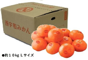 2025N ~Mtg Ε B026@QYJAɂ@Fa݂i11{菇j