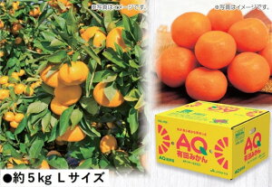 2025N ~Mtg Ε B033@a̎RYJA킩܁@LcAQ݂i11{菇j