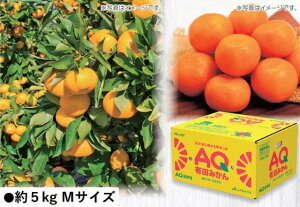 2025N ~Mtg Ε B034@a̎RYJA킩܁@LcAQ݂i11{菇j