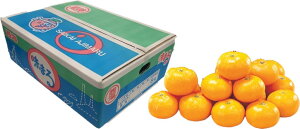 2025N ~Mtg Ε B038@茧YJAȂC@܂݂i12{菇j