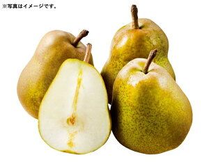 2025N ~Mtg Ε B055@R`RsYʎ̃EtX@i11{菇j