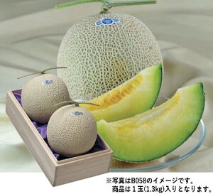 2025N ~Mtg Ε B057@ÉYNE}XNi11{菇j