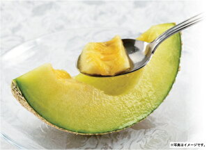 2025N ~Mtg Ε B059@F{Y@A[Xi11{菇j