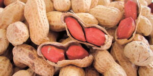 2025N ~Mtg Ε B066@tXYtԐ(tji12{菇j