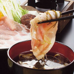 2025N ~Mtg Ε B420 cq {̕Ĉ炿ؓ؁EO؍肵ԂԃMtg