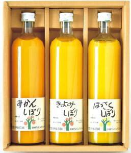 2025N ~Mtg Ε B553 ɓ_ 100sAW[X3{Zbg