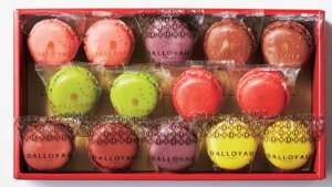 2025N ~Mtg Ε y}SݓX̑蕨z B811 _CG߂̃}Jl14