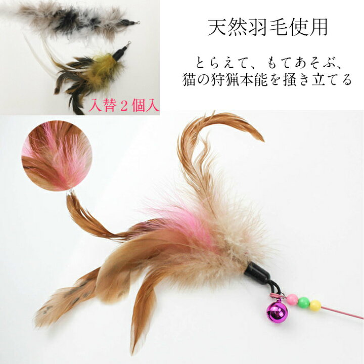 楽天市場 猫おもちゃ 点福袋 犬 ペット用 おもちゃ 猫じゃらし カシャカシャ ボールがたくさん入り 点1セット 運動不足 ストレス解消 キャッチボー つり竿タイプ 猫の本能を刺激 送料無料 Tolifeショップ