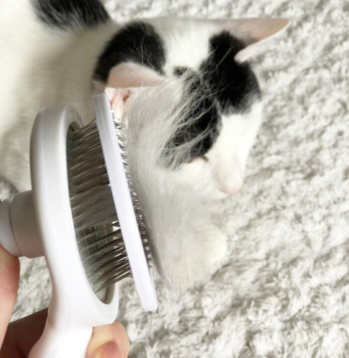 市場 おすすめ ペット用品 短毛 猫 犬猫 抜け毛取りクリーナー 美容コーム ペットブラシ 毛取りコーム 人気 ペット用コーム 長毛 犬 セルフクリーニングスリッカーブラシドッグブラシペットプッシュヘアコームペット格納式 Ciudaddelmaizslp Gob Mx 市場 おすすめ ペット用品 短毛 猫 犬猫 抜け毛取りクリーナー 美容コーム ペットブラシ 毛取りコーム 人気 ペット用コーム 長毛 犬 セルフクリーニングスリッカーブラシドッグブラシペットプッシュヘアコームペット格納式 Ciudaddelmaizslp Gob Mx