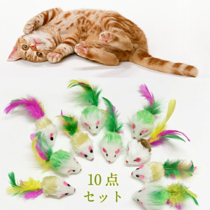 楽天市場】ねこのおもちゃ 10匹セット ネズミ おもちゃ 猫 一人で 