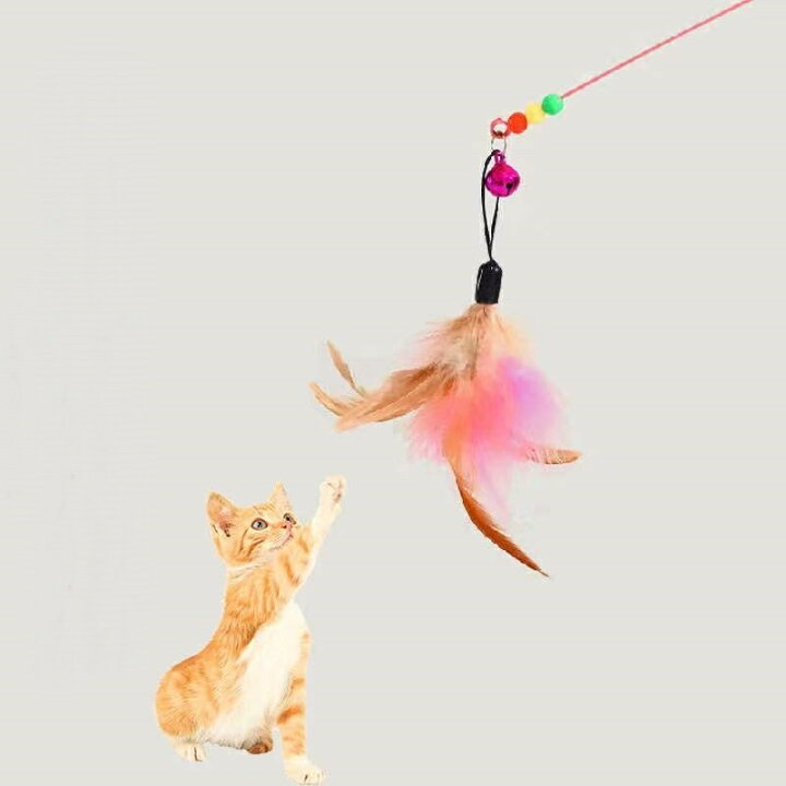 楽天市場】猫じゃらし ネコちゃんのおもちゃ 飼い主と一緒に遊べる 
