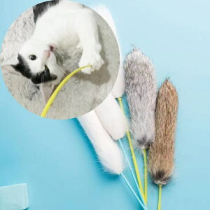 L@@ybgp@@L炵@JVJV@3{1Zbg@^s@XgX@Lb`{[@ƃ^Cv@L̖{\h@@[