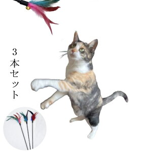 L@@ybgp@@L炵@JVJV@_3{1Zbg@^s@XgX@Lb`{[@ƃ^Cv@HтŔL̖{\h@@[