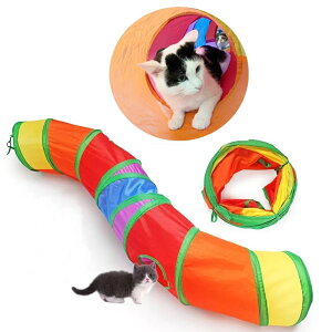 Lgl@2t@RpNg[@Lbgp@BVQ[@lRnEX@ybg@肽ݎ[@t