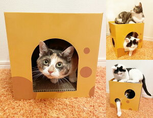 猫 爪とぎ かくれんぼハウス箱型 爪研ぎ 2枚両面使用 PET200 カラフルおしゃれ 爪磨き 段ボールベッド 壁紙対策 ねこ用つめとぎ 爪やすり 条件付き送料無料