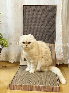 L^KKLp܂Ƃ@{[t@_{[@PET301@LbgXNb`[@ܖ@i{[xbh@t
