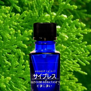 GbZVIC A}IC 7ml S S A}  I[KjbN xKbg [J TCvX OX VR [tOX@@nhCh@GXe@