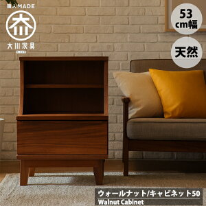 VR؃EH[ibg̃Lrlbg 50 50cm rO{[h [Ƌ k ؐ C g Ƌ