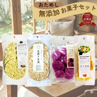 無添加 お菓子 スタンダード 【幼稚園教諭監修】 赤ちゃん おやつ ベジまんま 1歳 無香料 無着色 お野菜 …