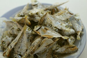 瀬戸内産ひいらぎ(ヒイラギイ煮干し) 50g入