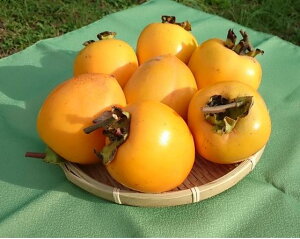 yQYz`@咆@ 5kg@i`E݂邵`E킵`p a`E`j