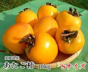 yQYz`  10kg@STCYi`E݂邵`E킵`p a`E`j