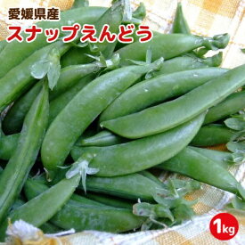 【愛媛県産】スナップえんどう　1kg（スナックエンドウ・豆）【送料無料】