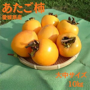 yX[p[Z[zyQYz`  10kg@LMTCY@i`E݂邵`E킵`p a`E`j