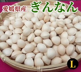 楽天市場 銀杏 1kgの通販 楽天市場 銀杏 1kgの通販