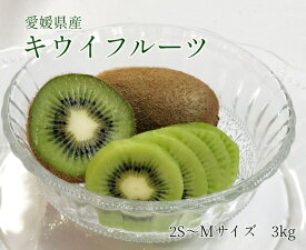 送料無料【愛媛県産】キウイフルーツ 極小3Sサイズ　3kg