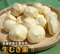 【愛媛県大洲産】生むき栗 500g・1kg・2kg｜皮剥ぎ不要・皮なし｜手剥き・真空パック｜送料無料