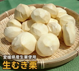 【愛媛県大洲産】生むき栗 500g・1kg・2kg｜皮剥ぎ不要・皮なし｜手剥き・真空パック｜送料無料