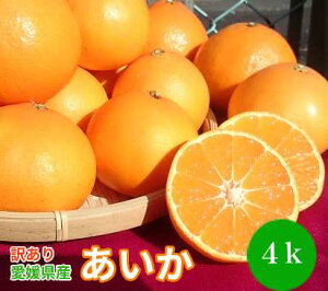 yzQY 󂠂  4kg2S`2LTCYő召EocLȂǁig}hiEj