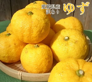 yQYz󂠂Mq 5kg (LYETCY) [䂸EYEƒp]