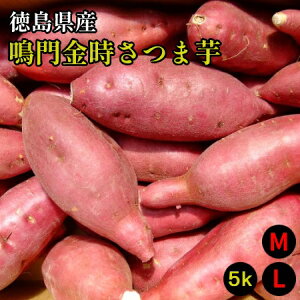 yYz܂ MELTCY 5kgyz