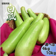 【予約販売・6月下旬より発送予定】愛媛県産 白瓜（しろうり） 4kg / 10kg選択可奈良漬・粕漬け・浅漬け…