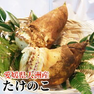 【愛媛県大洲市産】たけのこ 2kg（約2〜4本入り）[米ぬか付き・筍・竹の子]【送料無料】