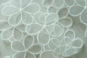 P2m{LL@ԎhJ@d߁@`[[X@ő啝31mm@ ItzCgx