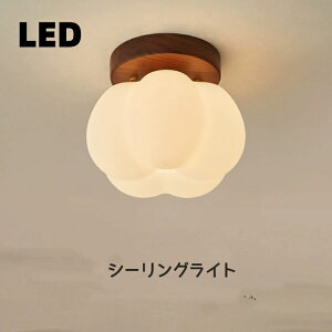 y2Nۏ؁zV[OCg  Ԃт AeB[N 킢 g VƖ LED Ɩ ֏Ɩ gC Ki Eߏ L _CjO ʏ rO xbh[ Lb`