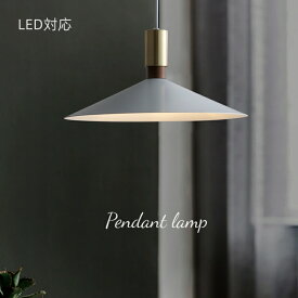 ペンダントライト ダイニング 山盛り アイアン 北欧 スチール 1灯 E26 モダン シンプル デザイン 天井照明 シェードランプ 玄関 リビングルーム 寝室 洗面所 居間用 キッチン 食卓用 ダクトレール用 シーリングプラグ選択