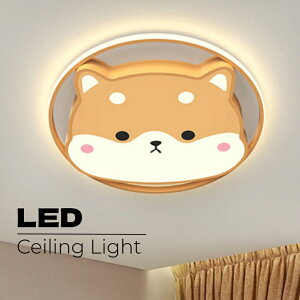 y5Nۏ؁zV[OCg  LED  킢 `[t q k Ɩ VƖ R F CeAƖ Q ȃGl RpNg 6 8 10 12 xbh[ 