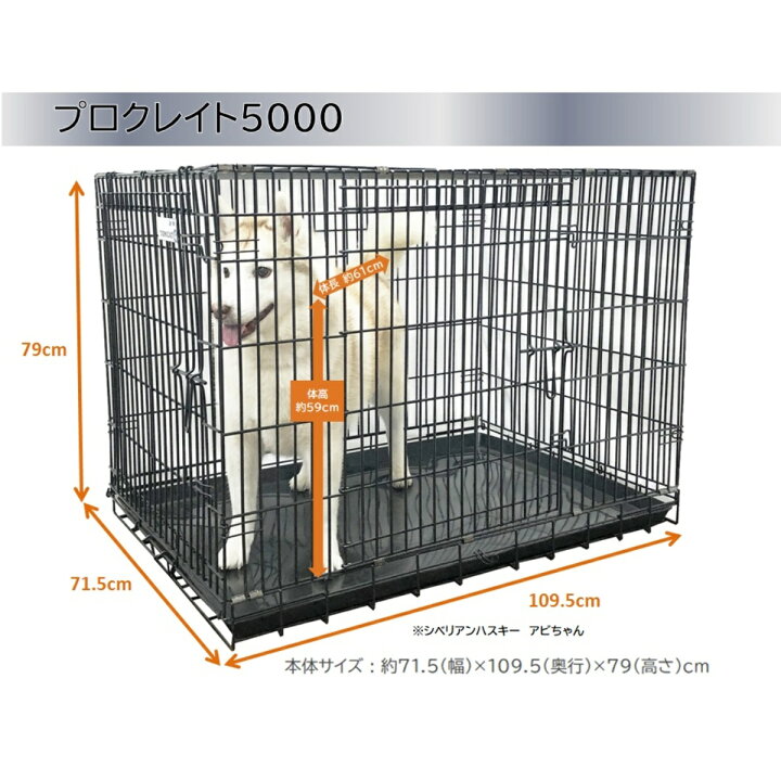 楽天市場】トムキャット プロクレイト 6000（旧最強ｸﾚｲﾄ6000） : トム 